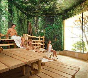 4217_10_tropen-sauna_original_copy_1